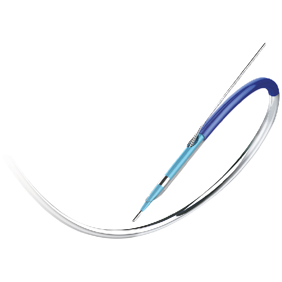 Deliver Infusion Catheter